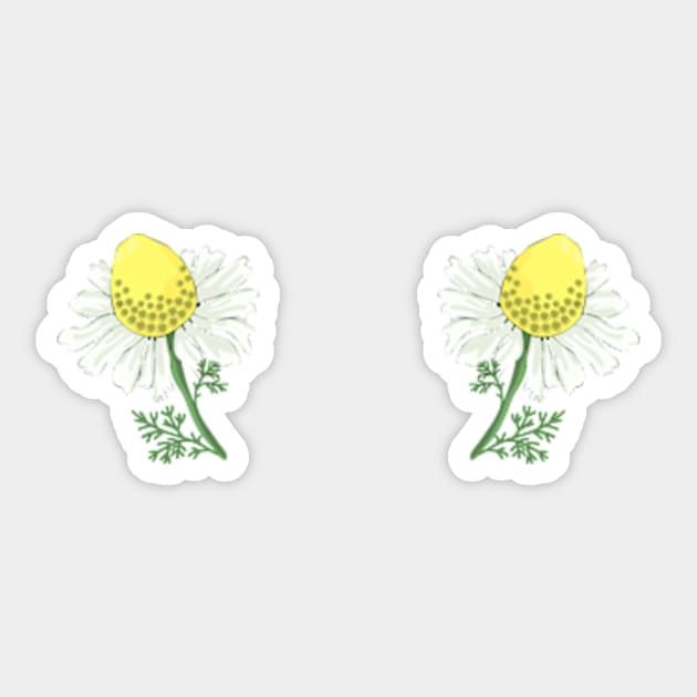 Chamomile Florets Sticker by MamaYola